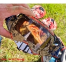 Pro Strip Brillenglas Schutzfolie RNR Folie 50x145mm 3 Pack